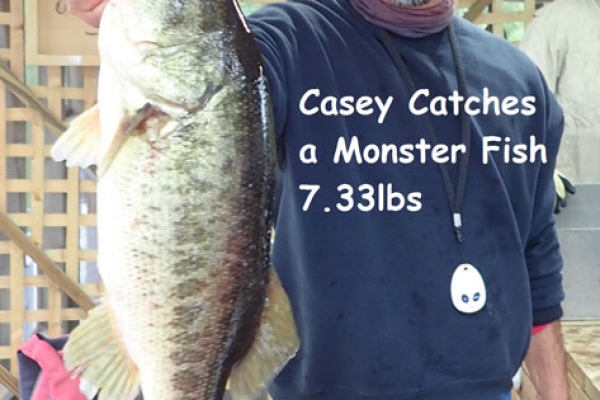 casey-7-33lbs90BB7916-D5E1-C0D4-EE09-3776E115CAED.jpg